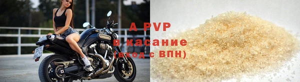 гашик Арсеньев