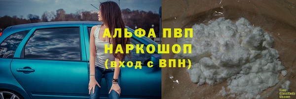 гашик Арсеньев