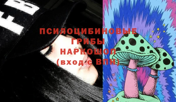 гашик Арсеньев