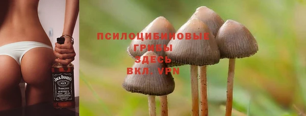 метадон Аркадак