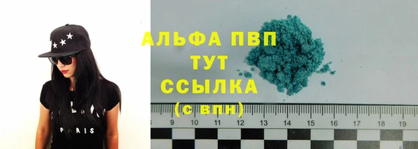 гашик Арсеньев