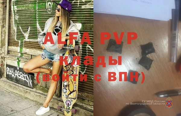 гашик Арсеньев