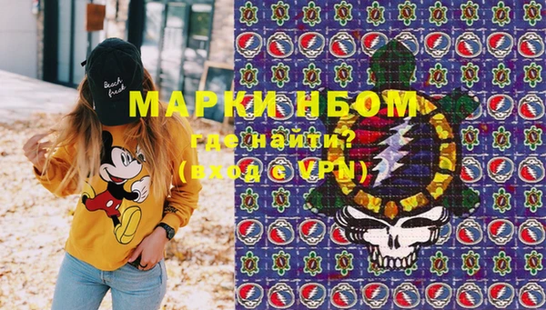 гашик Арсеньев